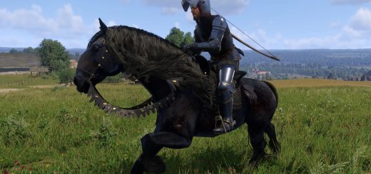 More realistic horse handling v1.0