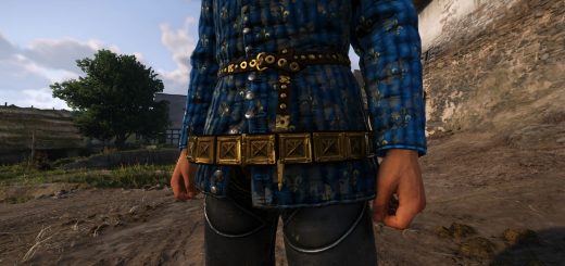 Plaque Belts (Beta) v1